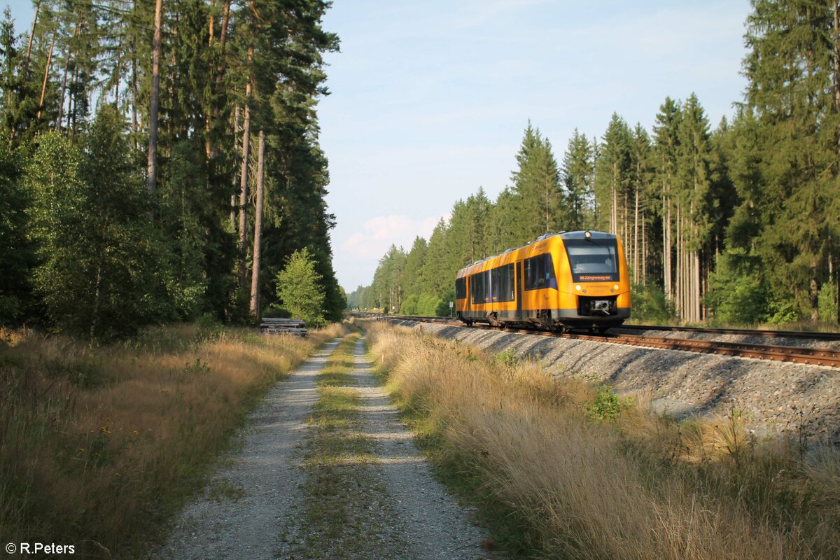 1648 703 als OPB 23 79735 Marktredwitz - Regensburg zwischen Wiesau und Reuth. 13.08.21