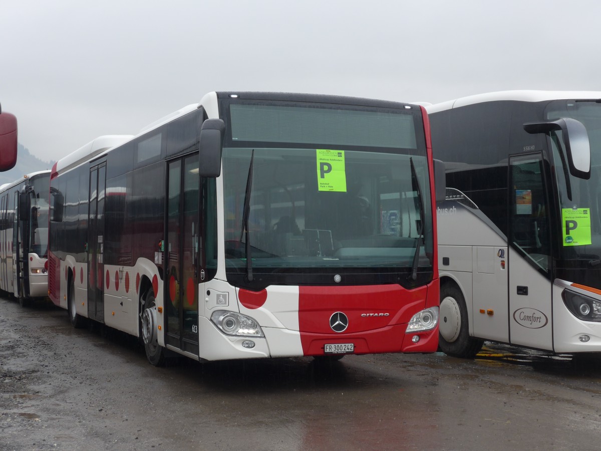 (168'307) - TPF Fribourg (Wieland 77) - Nr. 613/FR 300'242 - Mercedes am 9. Januar 2016 in Frutigen, Flugplatz