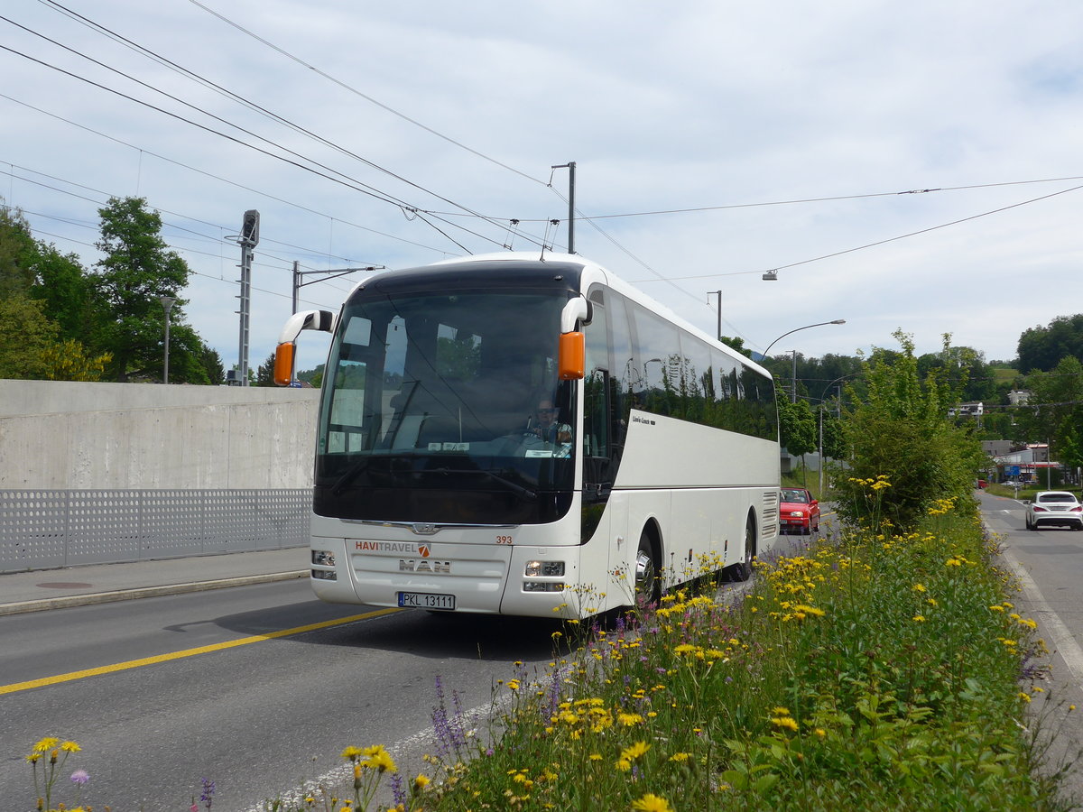 (171'358) - Aus Polen: Havi Travel, Koscielec - Nr. 393/PKL 13'111 - MAN am 22. Mai 2016 in Luzern, Verkehrshaus