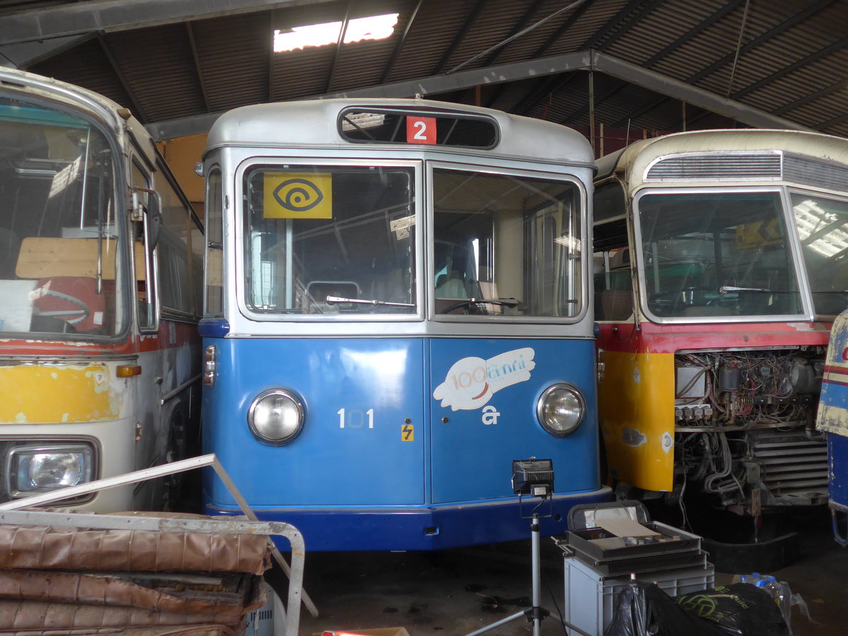 (172'184) - ACT Lugano (TVS) - Nr. 101 - FBW/R&J Trolleybus (ex Nr. 1) am 25. Juni 2016 in Yvonand, Halle TVS