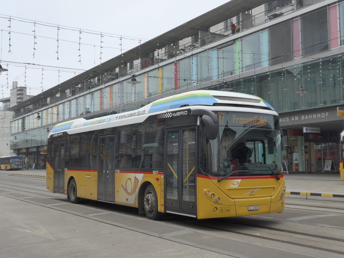 (176'497) - PostAuto Ostschweiz - TG 70'825 - Volvo am 4. November 2016 beim Bahnhof Frauenfeld