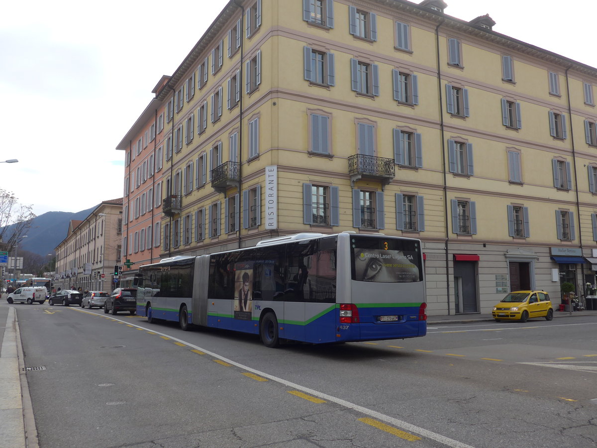 (178'275) - TPL Lugano - Nr. 437/TI 270'441 - MAN am 7. Februar 2017 in Lugano, Centro