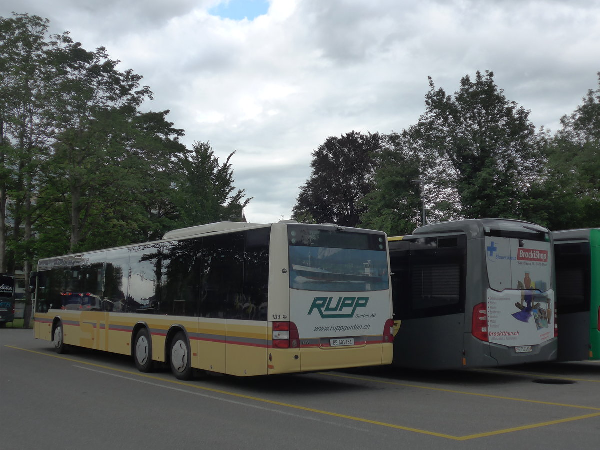 (180'986) - STI Thun - Nr. 131/BE 801'131 - MAN am 4. Juni 2017 bei der Schifflndte Thun