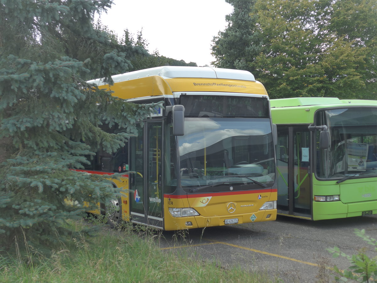 (183'753) - Voegtlin-Meyer, Brugg - Nr. 274/AG 426'274 - Mercedes am 20. August 2017 in Dbendorf, EvoBus (Teilaufnahme)