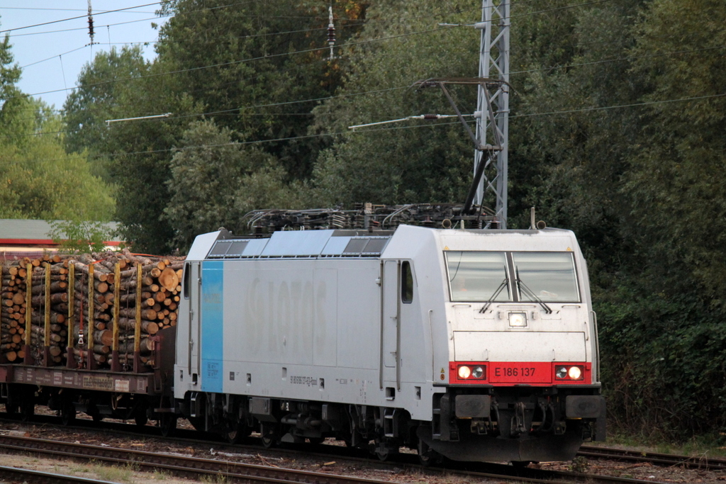 186 137-6 stand am 01.09.2013 mit dem Holzzug von Rostock-Bramow nach Stendal-Niedergrne zur Abfahrt im Bahnhof Rostock-Bramow bereit.