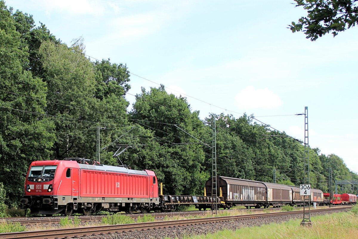 187 184 mit einen  Gemischten  am Haken. Tostedt - Dreihausen, 29.06.2022