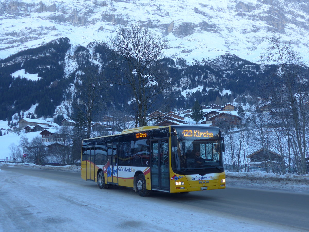 (187'313) - AVG Grindelwald - Nr. 23/BE 70'397 - MAN am 24. Dezember 2017 in Grindelwald, Grund