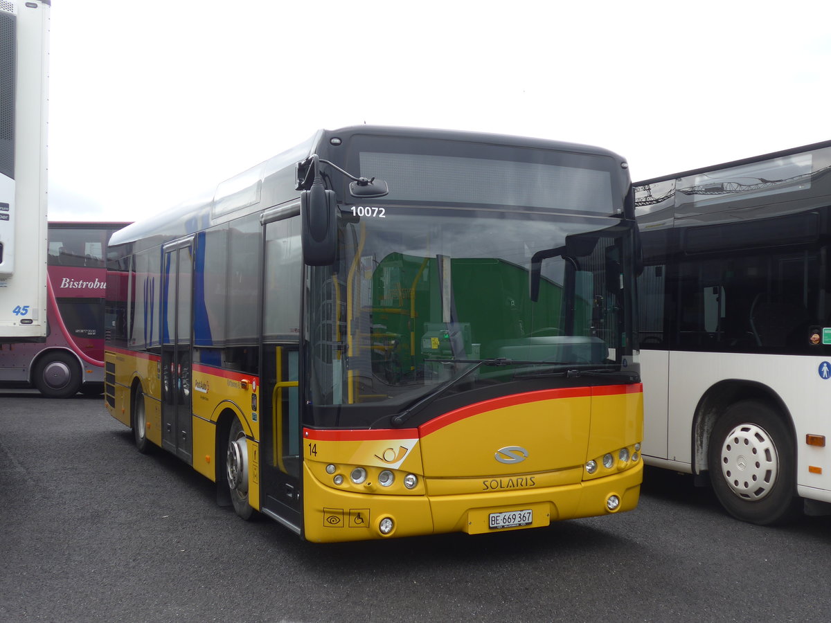 (189'835) - PostAuto Bern - Nr. 14/BE 669'367 - Solaris (ex Klopfstein, Laupen Nr. 14) am 1. april 2018 in Kerzers, Interbus