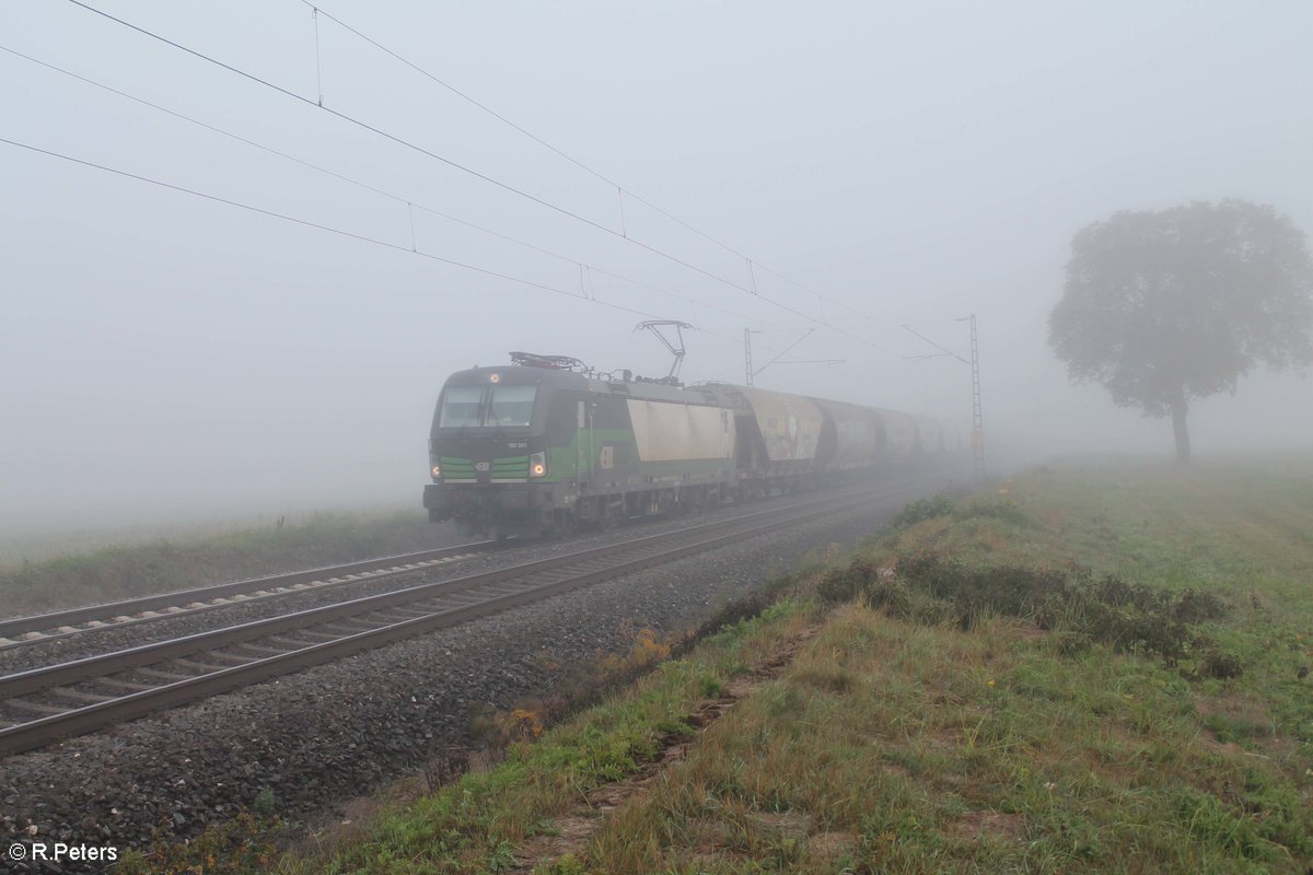 193 263-1 zieht den DGS 45185 Krefeld Linn - Ungarn Getreidezug kurz vor Retzbach-Zellingen durchs neblige Maintal. 13.10.18