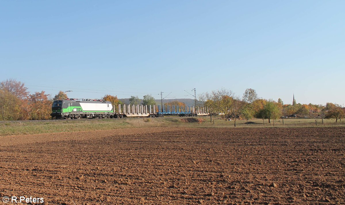 193 772-1 zieht mit einem leeren Holzzug bei Thüngersheim in Richtung Gemünden. 13.10.18