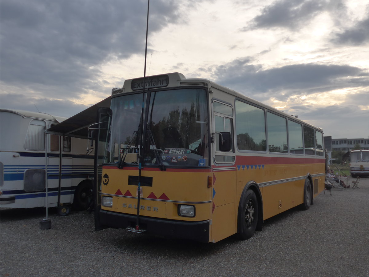 (195'896) - Toldo, Zrich - ZH 124'701 - Saurer/R&J (ex Peter, Pfaffnau) am 17. August 2018 in Wettingen, Zirkuswiese