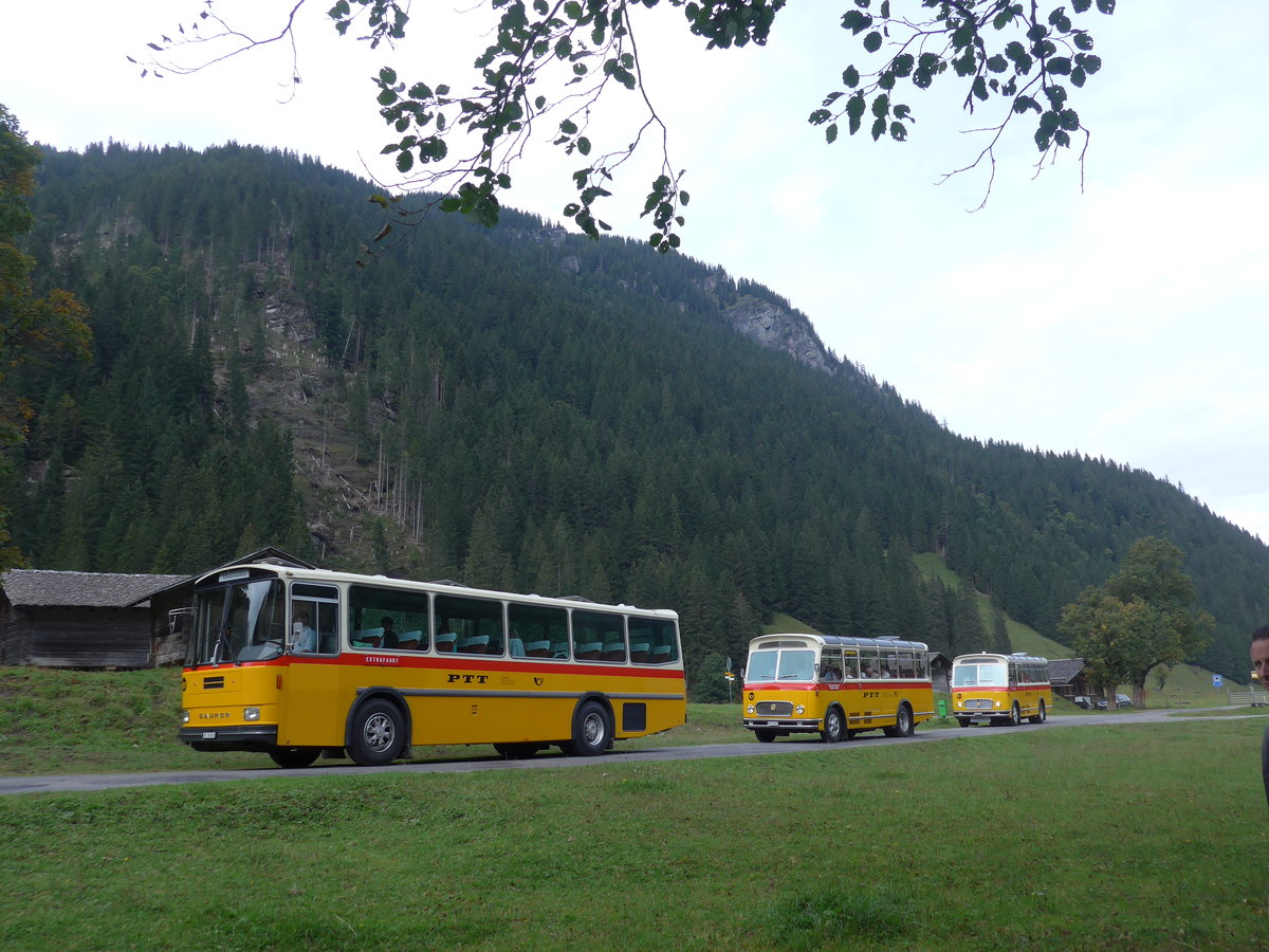 (197'788) - Schmid, Thrishaus - BE 26'206 - Saurer/Tscher (ex P 24'244) + Mller, Ennetmoos - NW 23'167 - FBW/Gangloff (ex Rentsch, Gunten; ex P 23'203; ex P 21'003) + Frutig, Birmensdorf - ZH 560'883 - FBW/FHS (ex P 23'217) in Gschwandtenmaad