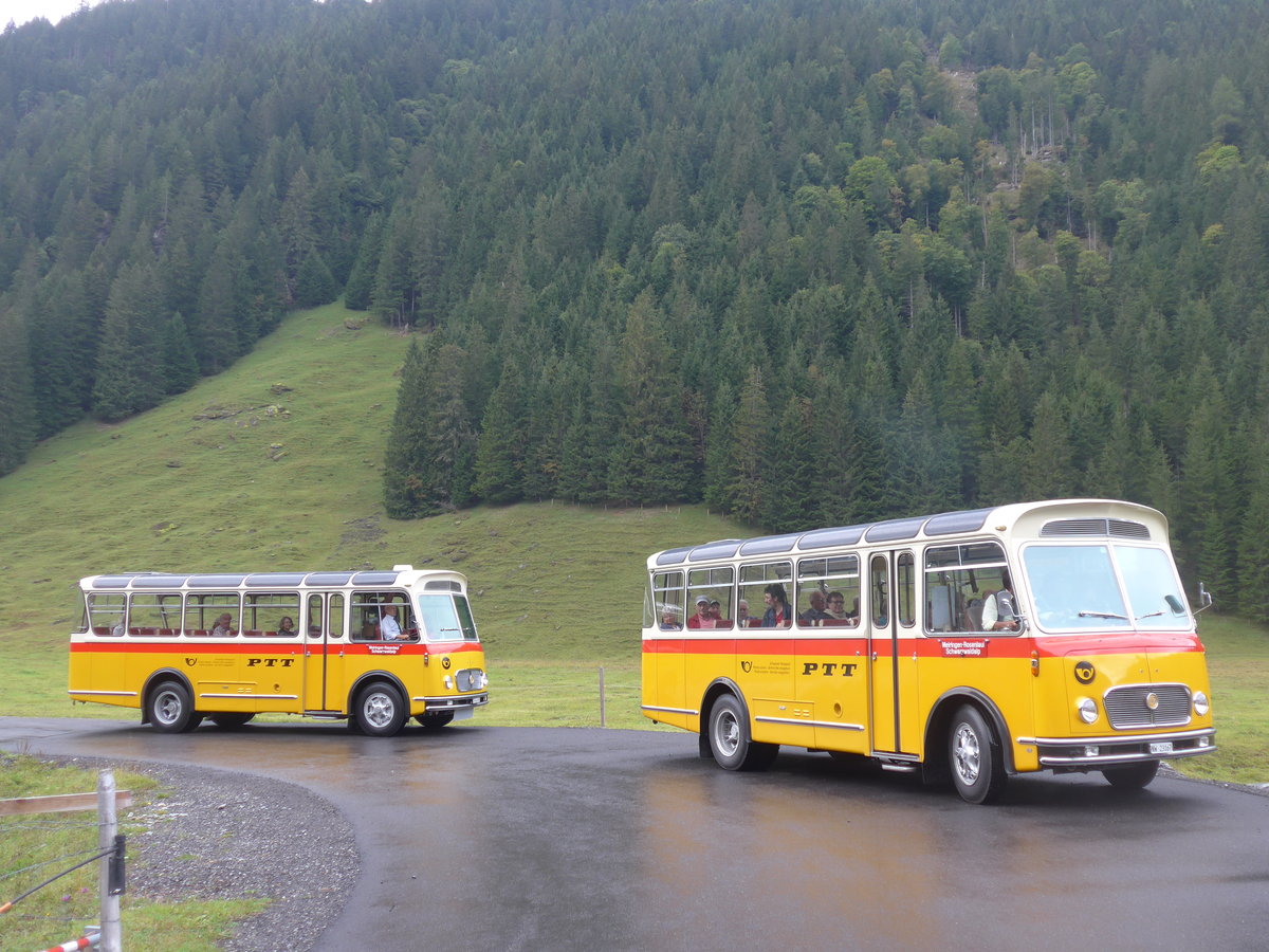 (197'823) - Frutig, Birmensdorf - ZH 560'883 - FBW/FHS (ex P 23'217) + Mller, Ennetmoos - NW 23'167 - FBW/Gangloff (ex Rentsch, Gunten; ex P 23'203; ex P 21'003) am 16. September 2018 in Gschwandtenmaad