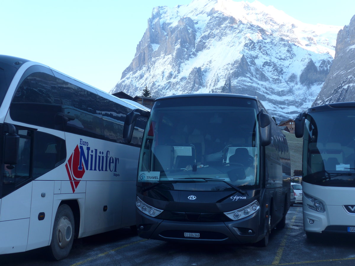 (200'502) - Giosy, Cadenazzo - TI 104'346 - MAN/Beulas am 1. Januar 2019 in Grindelwald, Grund