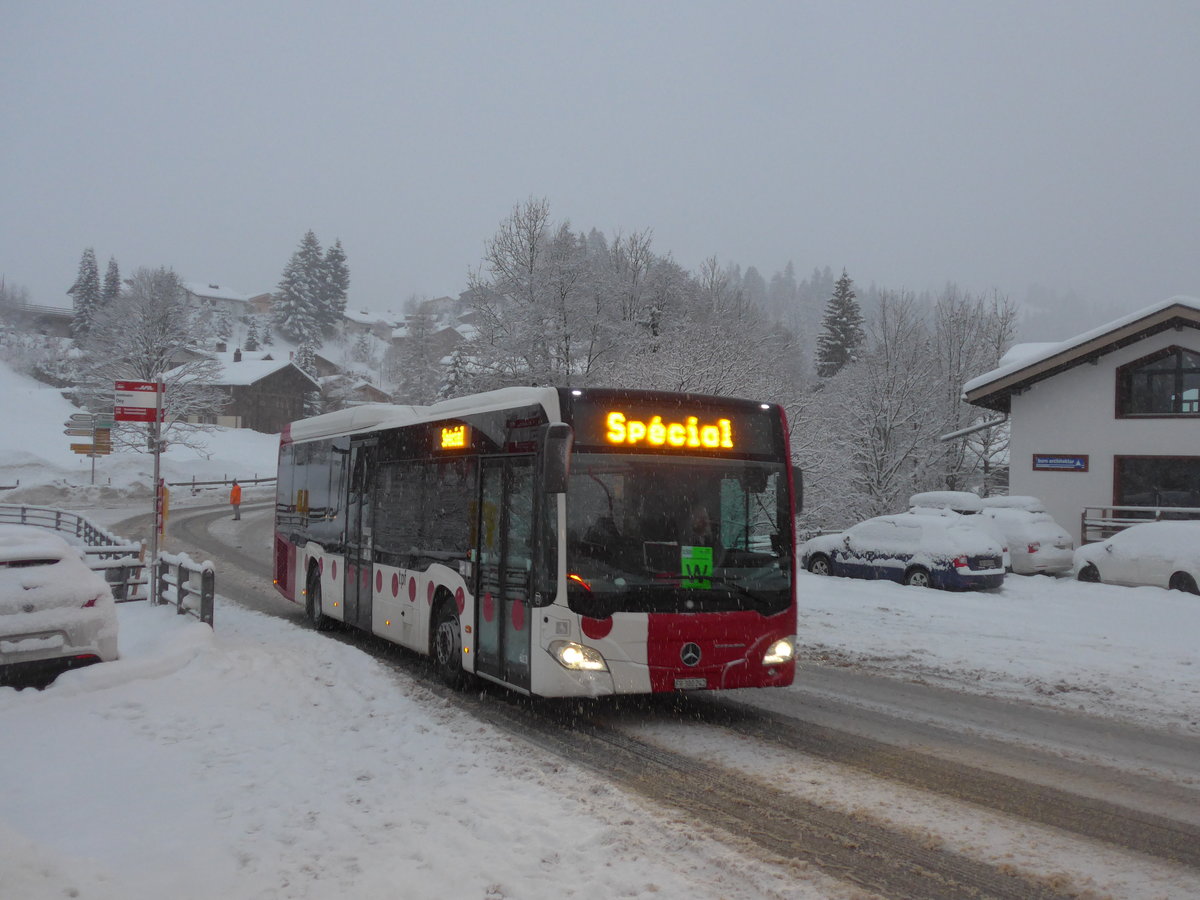 (201'020) - TPF Fribourg (Wieland 77) - Nr. 613/FR 300'242 - Mercedes am 13. Januar 2019 in Adelboden, Oey