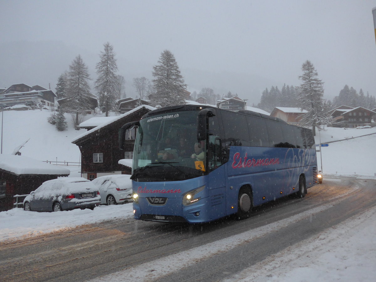 (201'026) - Estermann, Beromnster - LU 15'753 - VDL am 13. Januar 2019 in Adelboden, Oey