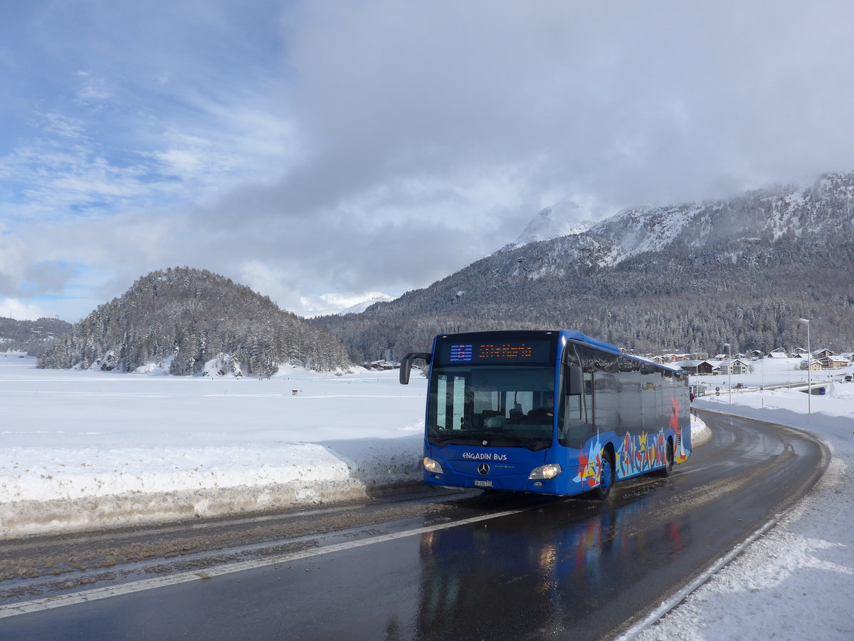 (201'425) - SBC Chur - Nr. 115/GR 100'115 - Mercedes am 2. Februar 2019 in Silvaplana, Kreisel Mitte