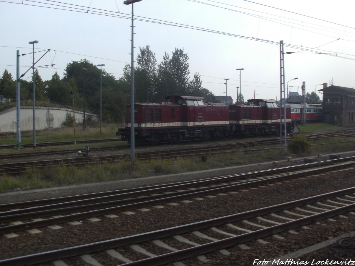 202 484-2 und 202 703-5 abgestellt im Bahnhof Angermnde am 7.9.14