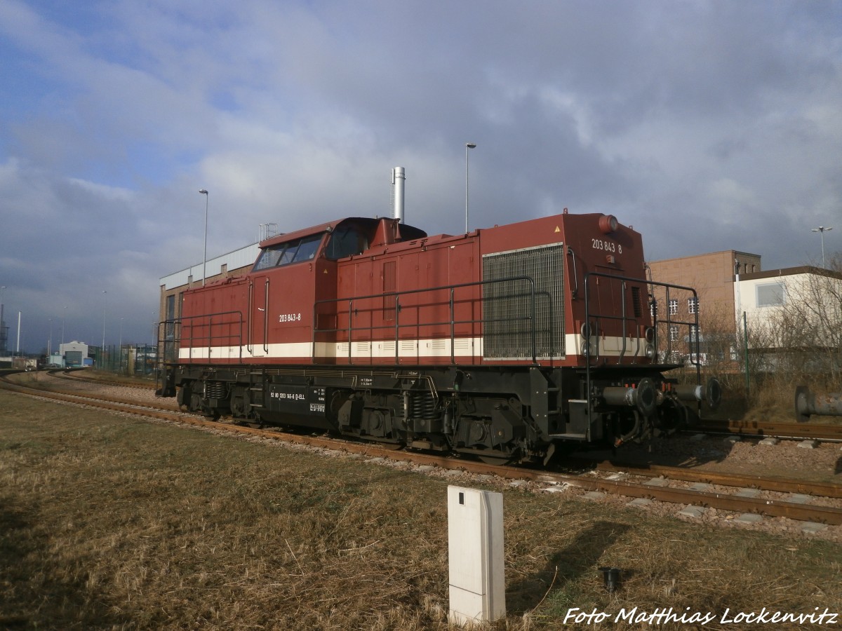 203 843-8 (203 145-8) der Eisenbahn Logistik Leipzig abgestellt am Saalehafen in Halle (Saale) am 4.1.15