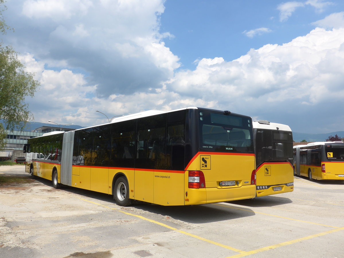 (205'415) - CarPostal Ouest - VD 577'065 - MAN am 25. Mai 2019 in Yverdon, Garage