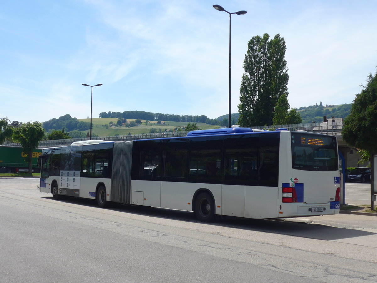 (206'832) - TL Lausanne - Nr. 667/VD 1568 - MAN am 24. Juni 2019 beim Bahnhof Moudon