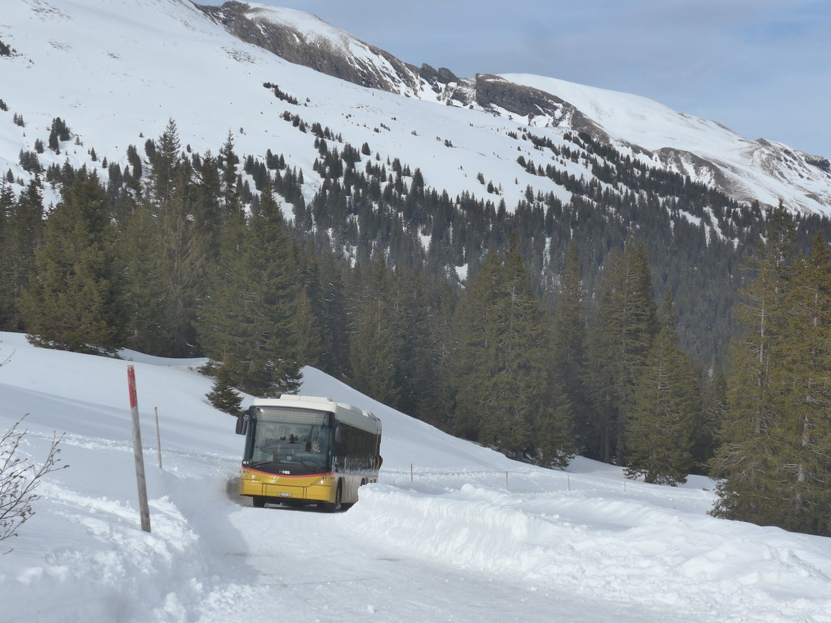 (215'085) - PostAuto Bern - BE 403'166 - Scania/Hess (ex AVG Meiringen Nr. 66; ex Steiner, Messen) am 8. Mrz 2020 in Grindelwald, Schrmstutz