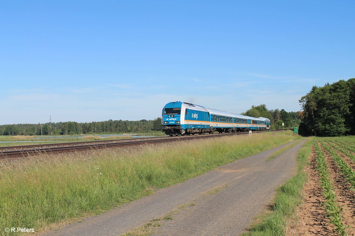 223 062 zieht bei Oberteich als ALX84110 München - Hof . 11.06.17