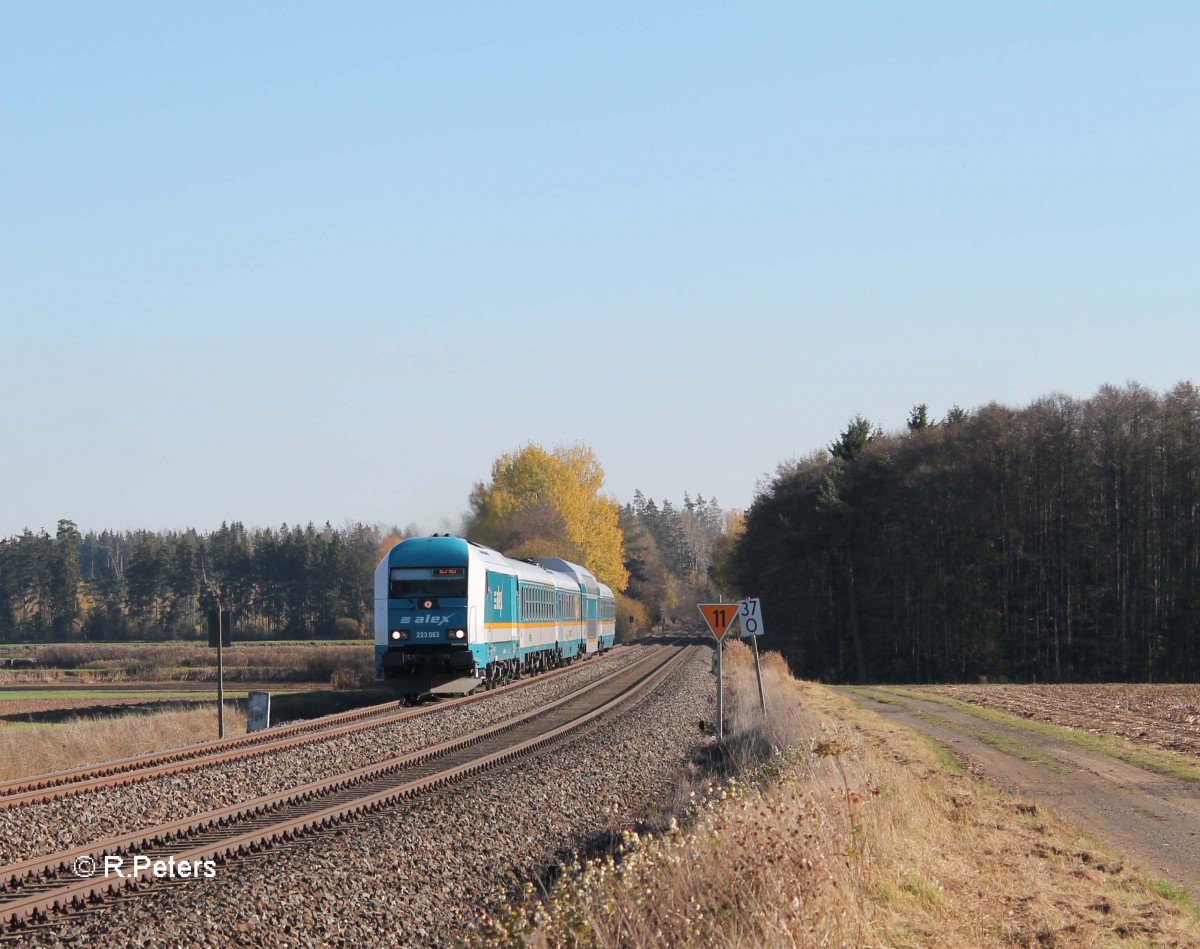 223 063 mit ALX84106 Mnchen nach Hof bei Oberteich. 31.10.13