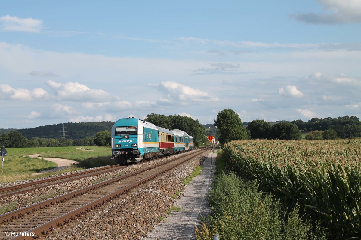 223 067 zieht den ALX84112 München Hof bei Zeitlarn. 19.08.17