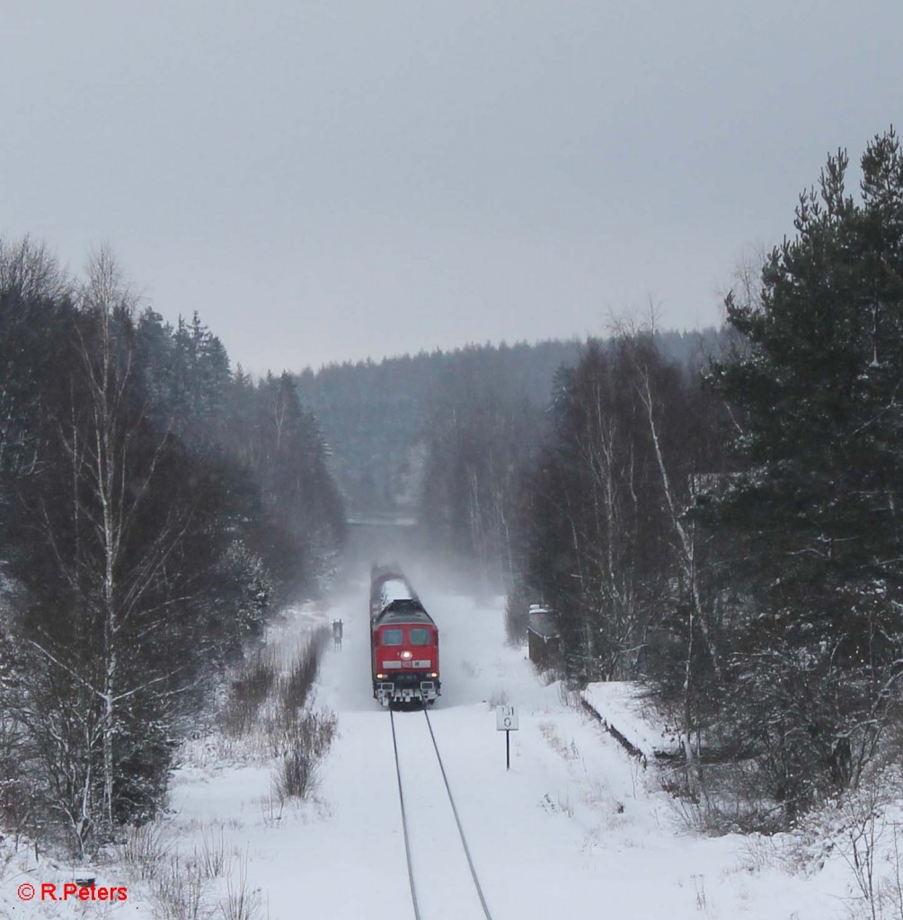 223 662-6 durchfährt den ehmaligen Bahnhof Seußen mit dem 45368 Cheb - Nürnberg. 31.01.15