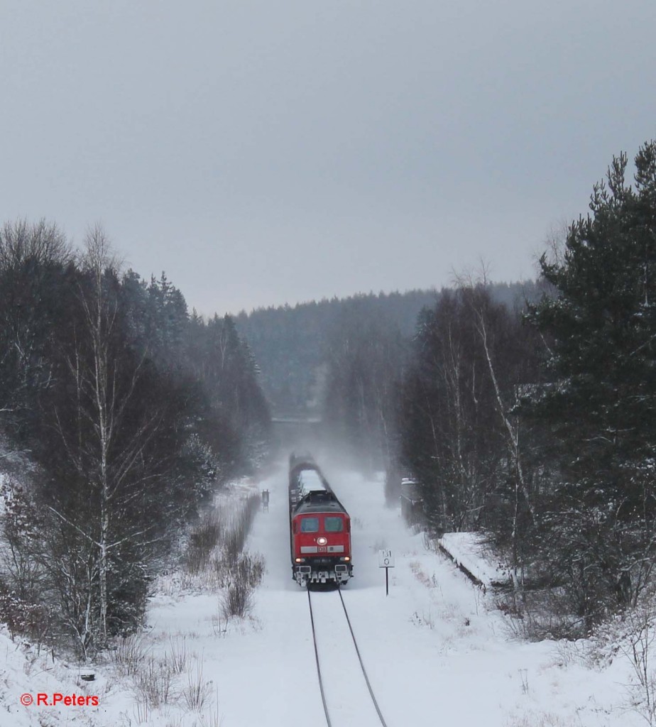 223 662-6 durchfährt den ehmaligen Bahnhof Seußen mit dem 45368 Cheb - Nürnberg. 31.01.15