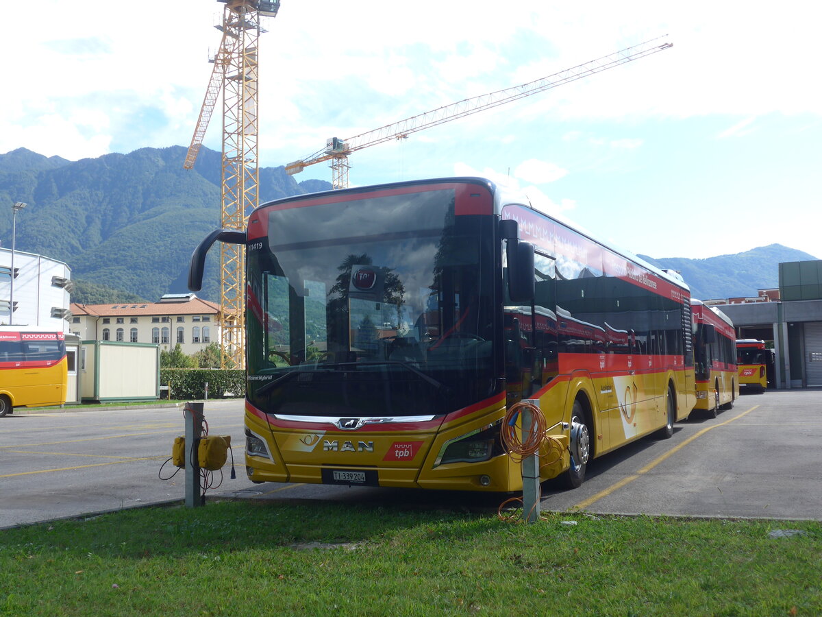 (227'706) - AutoPostale Ticino - TI 339'204 - MAN am 30. August 2021 in Bellinzona, Garage