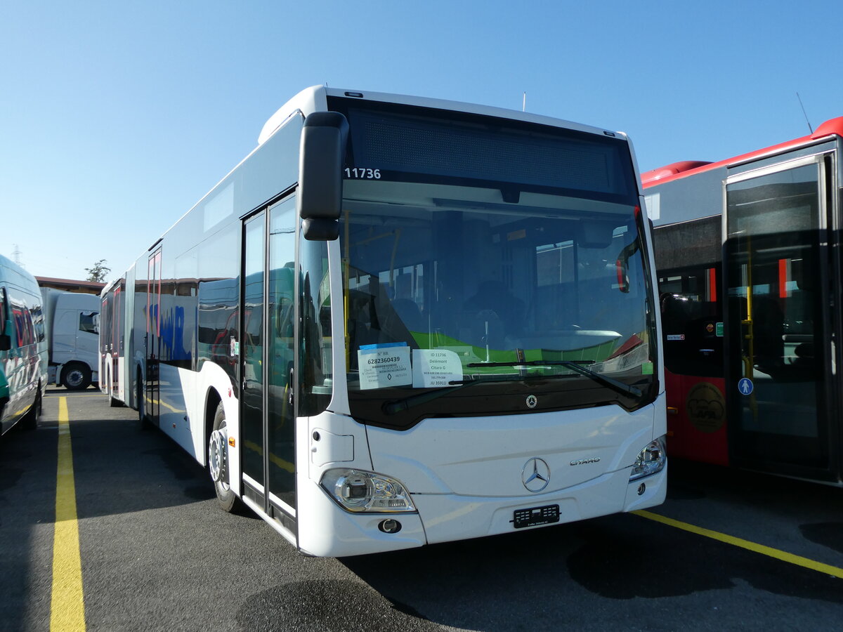 (229'825) - CarPostal Ouest - PID 11'736 - Mercedes am 24. Oktober 2021 in Kerzers, Interbus