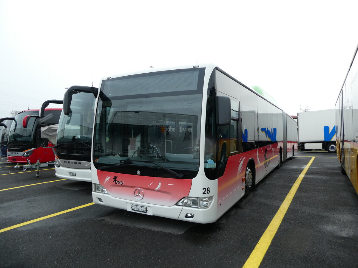 (231'010) - BGU Grenchen - Nr. 28/SO 167'263 - Mercedes am 28. November 2021 in Kerzers, Interbus