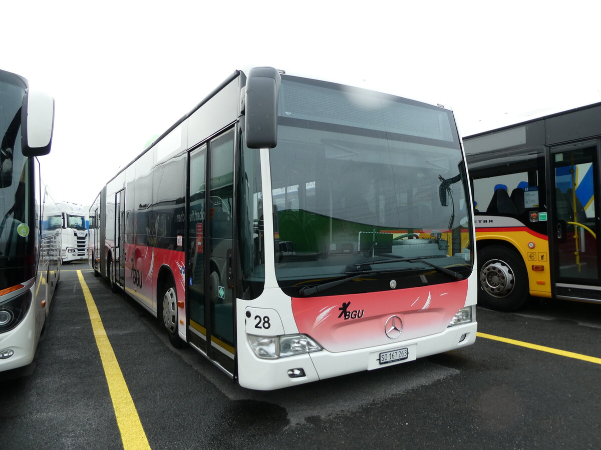 (231'011) - BGU Grenchen - Nr. 28/SO 167'263 - Mercedes am 28. November 2021 in Kerzers, Interbus