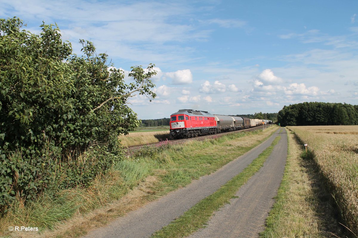 232 201-4 zieht bei Oberteich den 51724 NNR - LLE Frankenwald Umleiter und es ist der erste Einsatz nach dem sie aus Mühldorf wieder zurück ist. 08.08.16