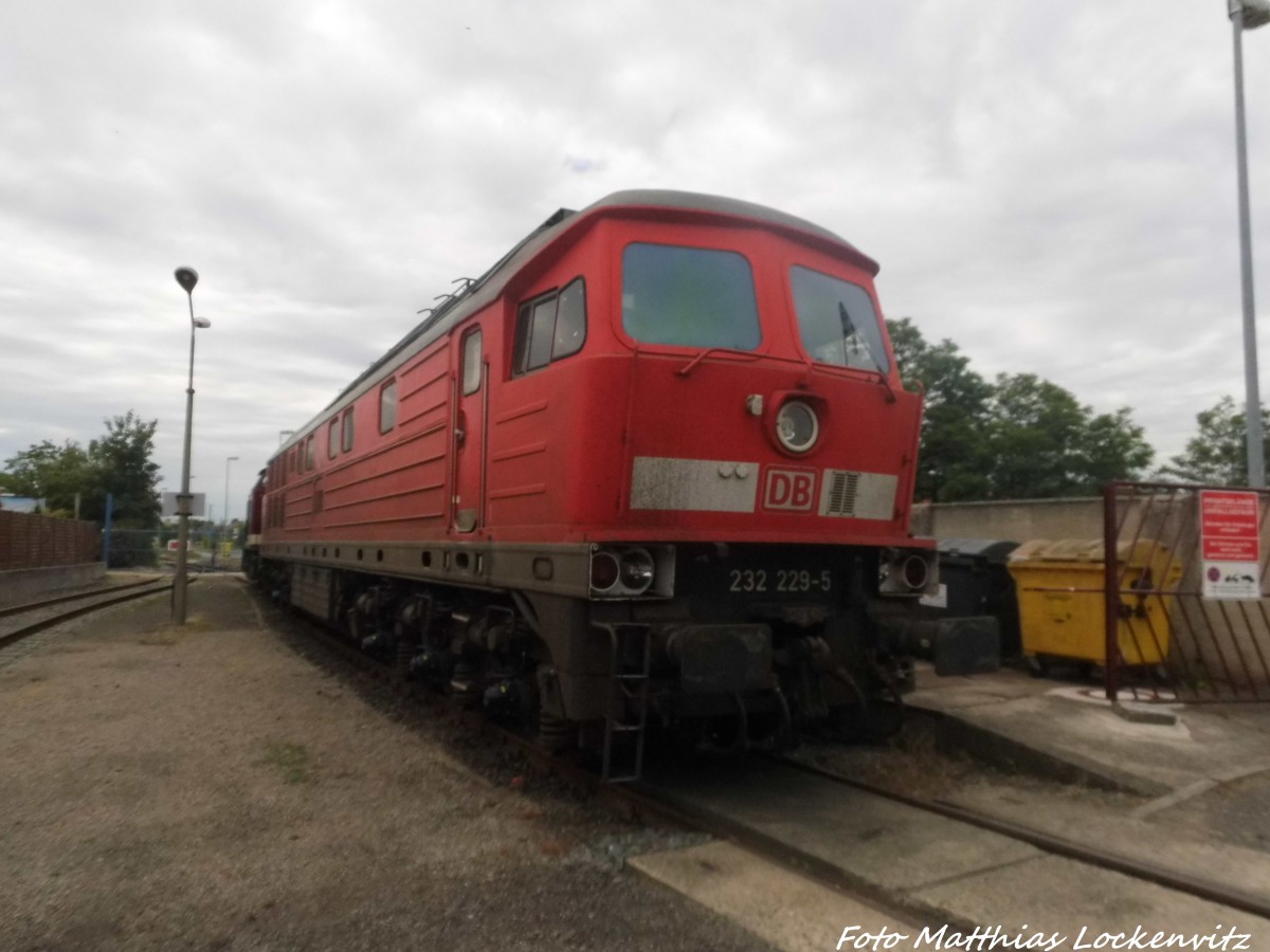 232 229 auf dem LEG Gelnde in Delitzsch am 29.6.15