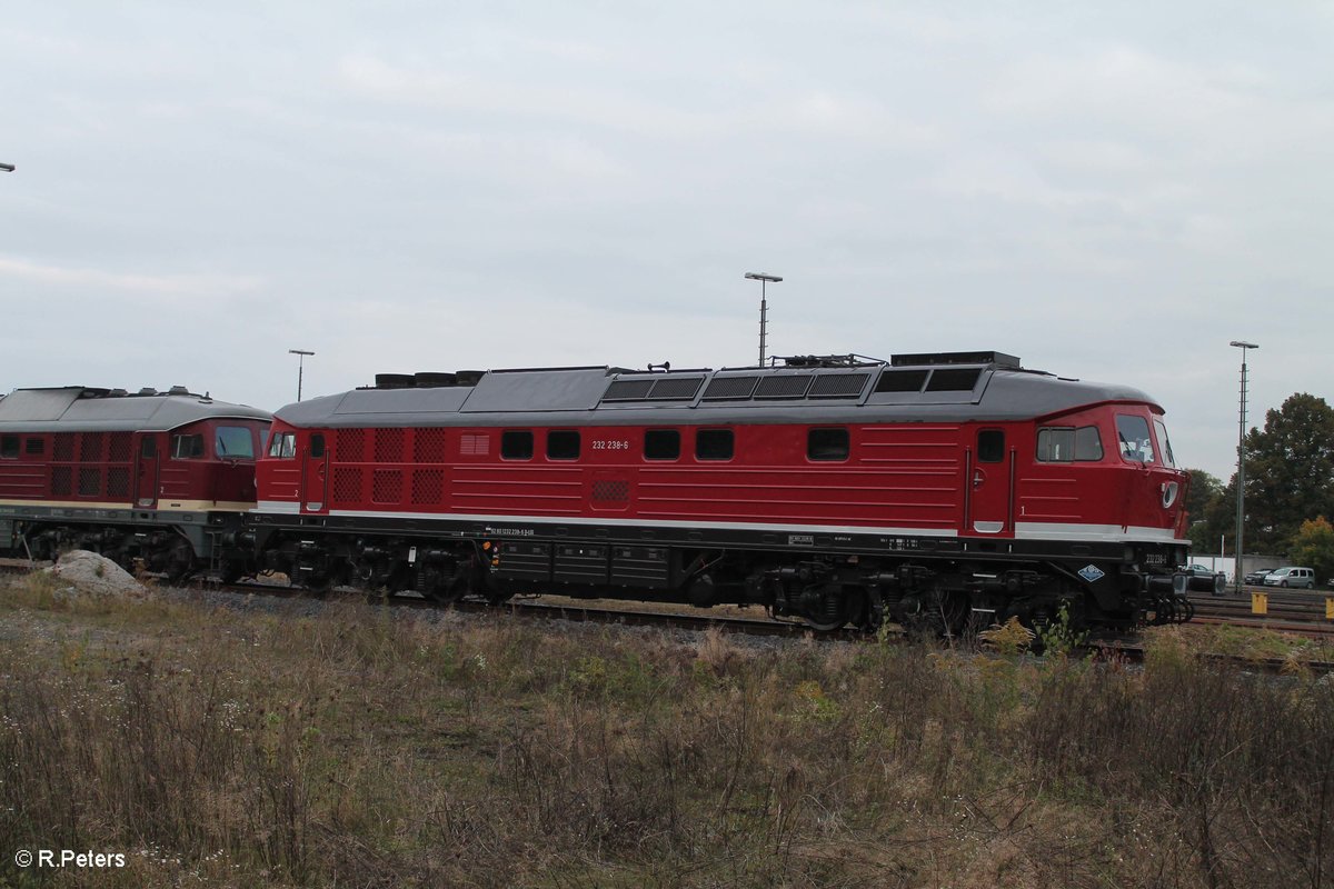 232 238 und 132 158 haben am morgens ein Kesselzug nach Marktredwitz gebracht, wärend das Lokpersonal sich ausruhe für die Rückleistung blieb Zeit für Portraiaufnahmen. 11.10.16