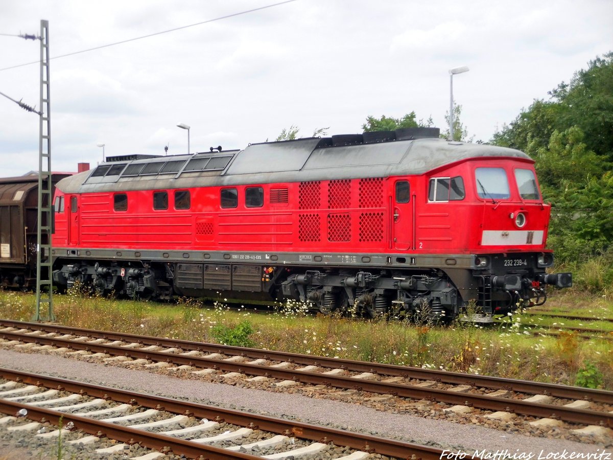 232 239-4 der EBS abgestellt in Delitzsch am 14.7.16