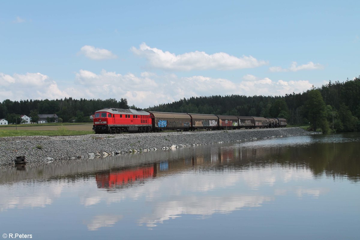 232 428-3 zieht mit dem Umleiter Leipzig - Nürnberg am Rechenweiher kurz vor Reuth bei Erbendorf vorbei. 13.06.20