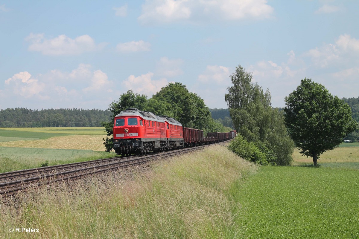 232 703-9 + 233 176 ziehen bei Naabdemenreuth den 45365 NNR - XTCH. 12.06.15