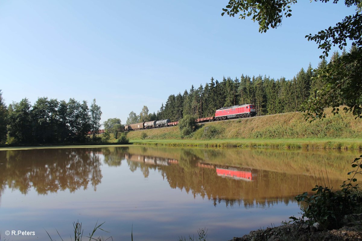 232 909-2 zieht bei Oberteich den 45367 NNR - XTCH. 12.09.16