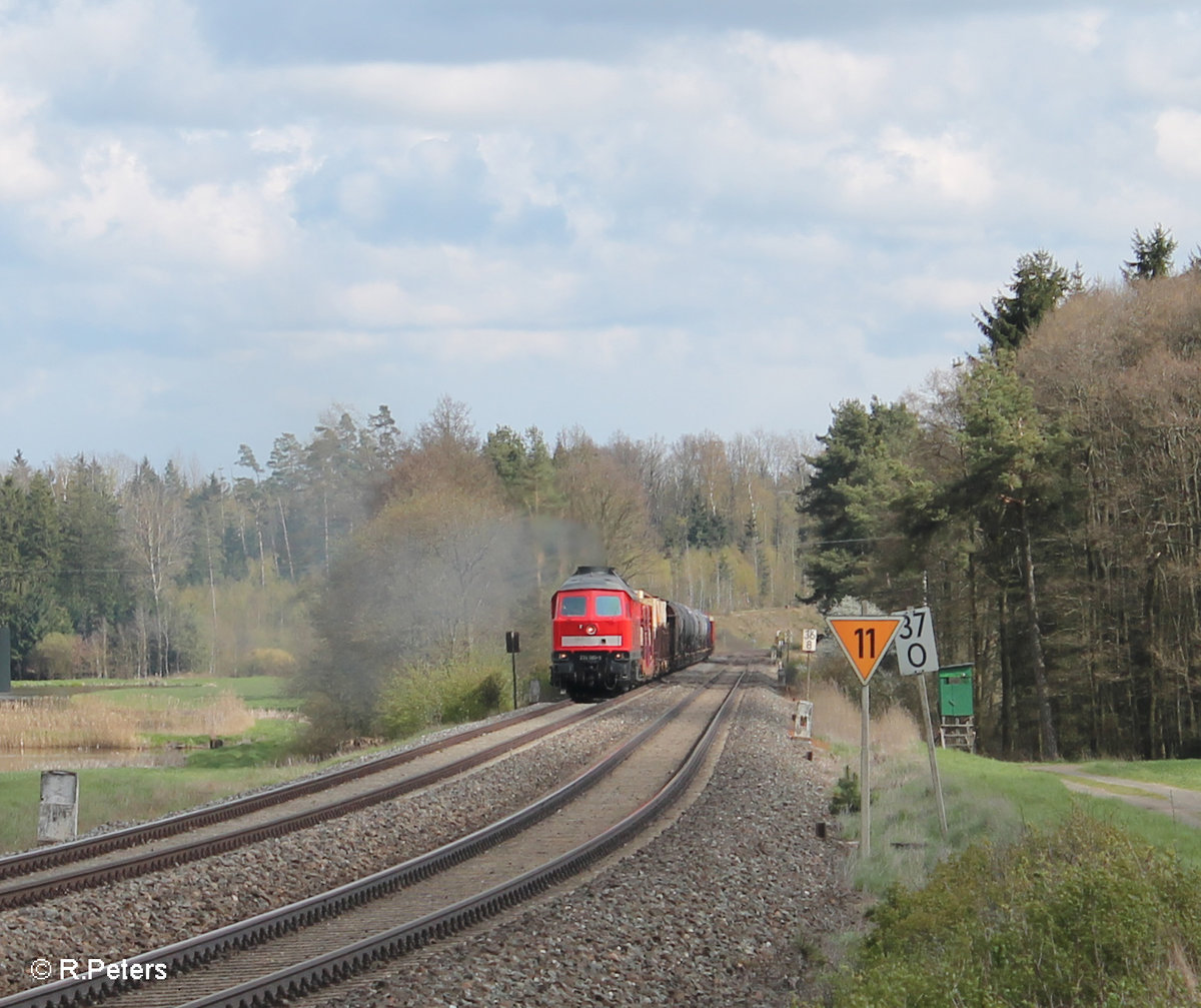 233 093 zieht bei Oberteich den 51717 Nürnberg - Seddin Frankenwald Umleiter. 24.04.16