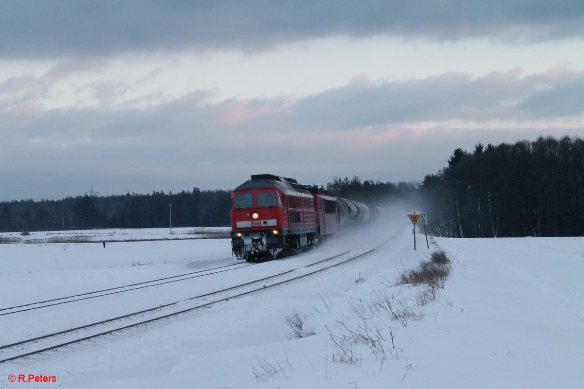 233 176 und 155 219 mit dem 51724 NNR - LE bei Oberteich. 17.01.17