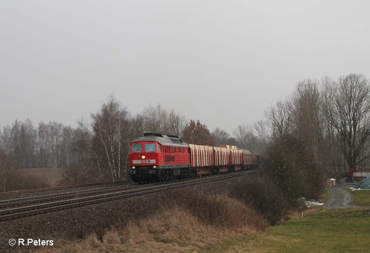 233 176-7 mit einem Frankenwald-Umleiter bei Schönfeld/Wiesau. 06.03.16