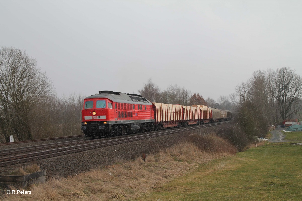 233 176-7 mit einem Frankenwald-Umleiter bei Schönfeld/Wiesau. 06.03.16