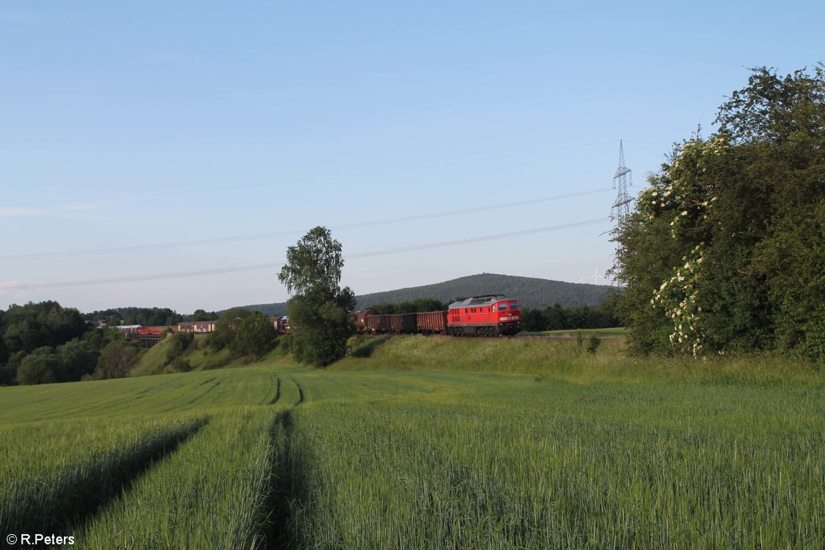 233 176 mit dem EZ 45366 XTCH - NNR bei Seuen Viadukt. 18.06.19