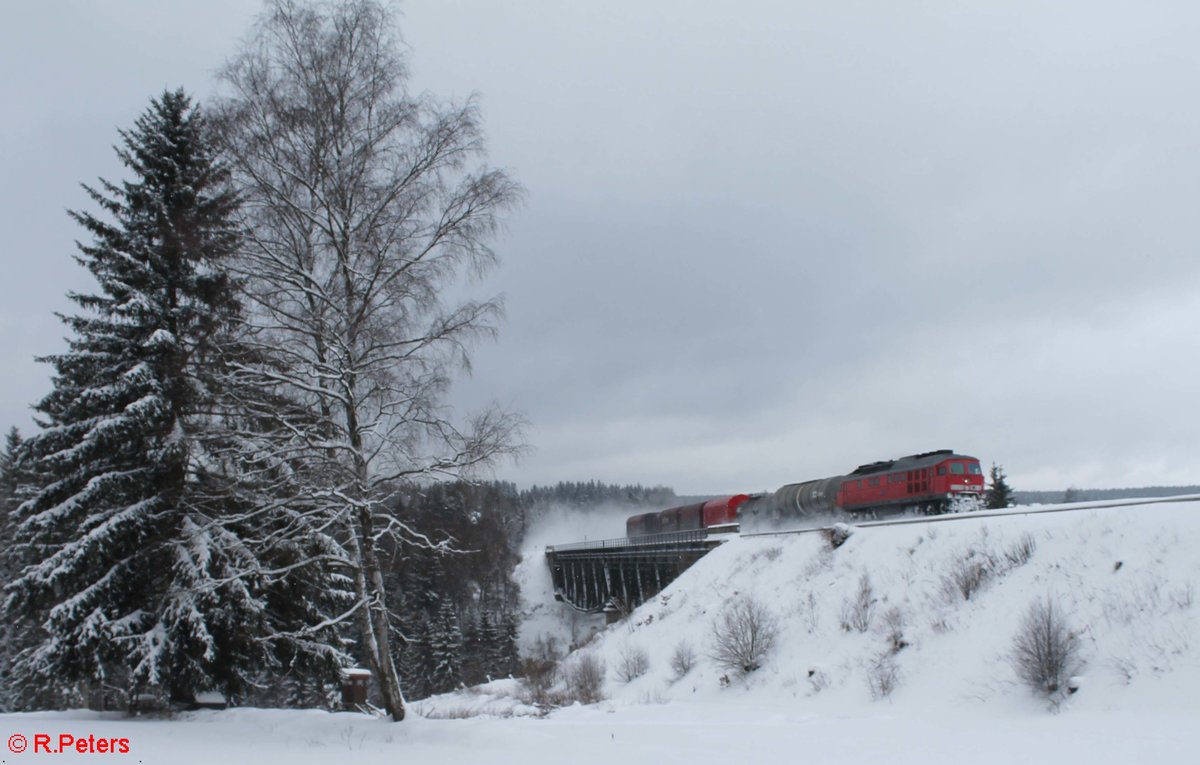 233 176 überquert das Fichtelnaab Viadukt bei Neusorg mit dem 45362 Cheb - Nürnberg. 15.01.17