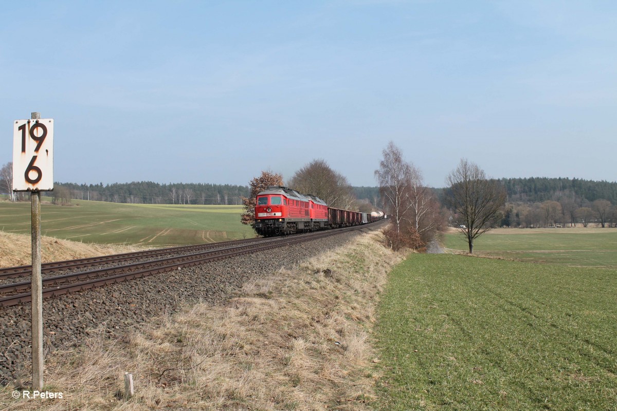 233 219 und 232 280 und der 45365 NNR - XTCH bei Naabdemenreuth. 23.03.15