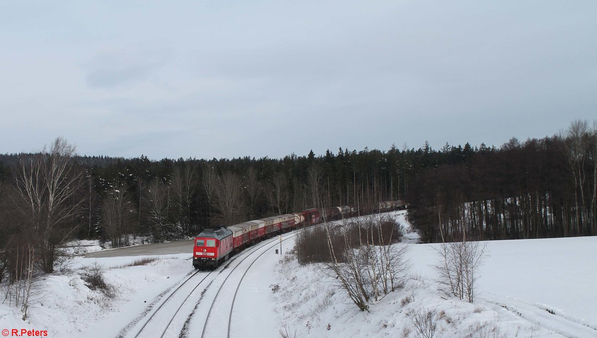 233 219 mit dem umgeleiteten EZ 51612 Halle - Nürnberg bei Oberteich. 20.01.21